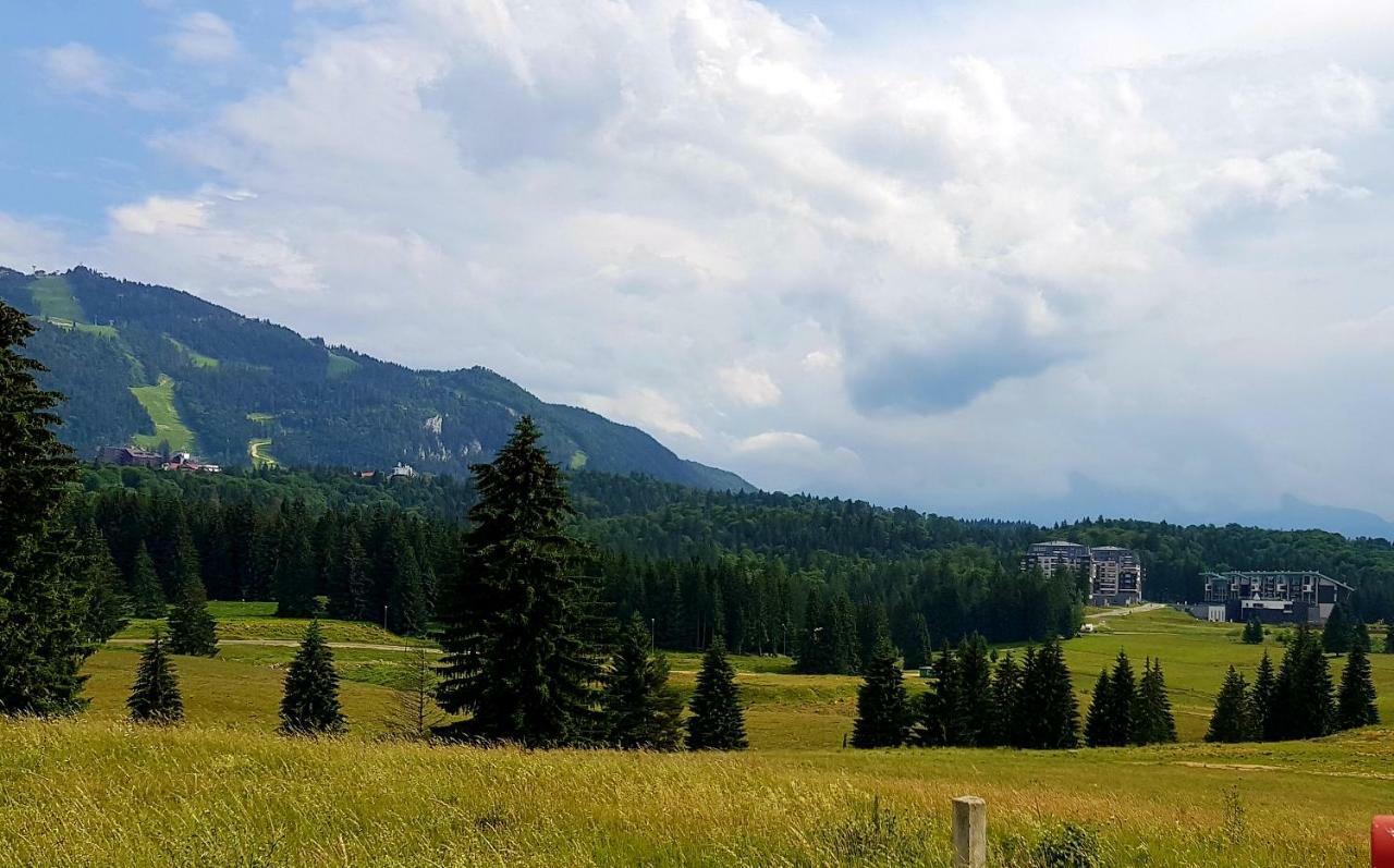 Apartment "Mountain Relax" Poiana Brasov Exterior foto